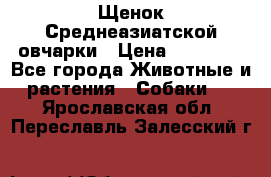 Щенок Среднеазиатской овчарки › Цена ­ 35 000 - Все города Животные и растения » Собаки   . Ярославская обл.,Переславль-Залесский г.